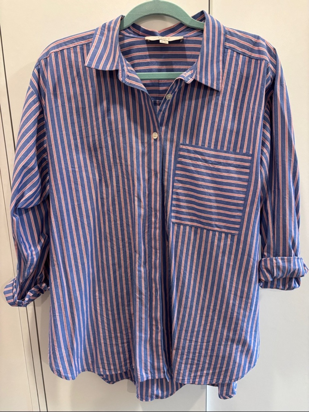 LOFT Blue and Pink Women’s Button-Up Shirt